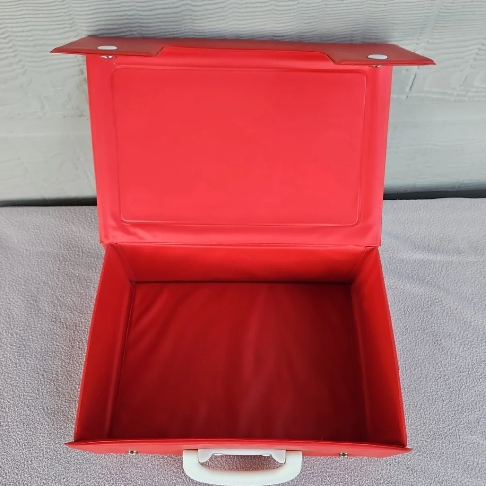 1986 The Saurus Gang Vinyl Storage Case Box Vintage Cliff Galbraith Swim Club
